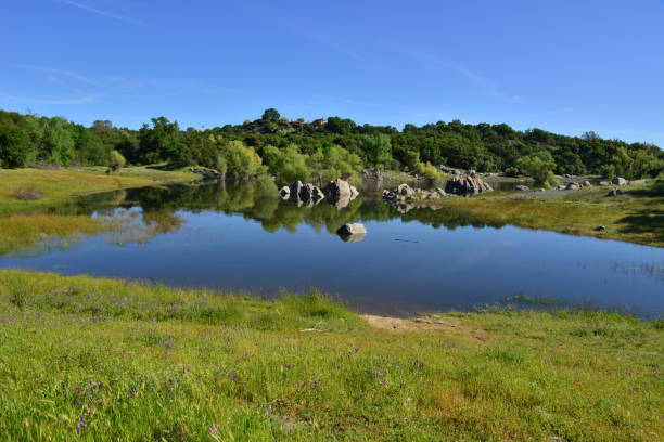 Beautiful view of Carolinda Ranch Estates
